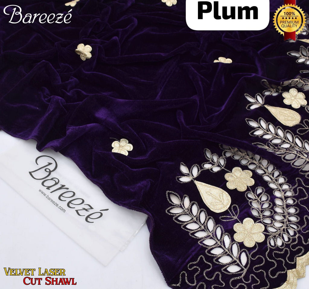 Winter Season Soft Velvet Shawl | Premium Stitched 2.5 Yard Heavy Leaser Cut Embroidery